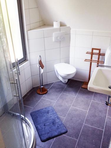 ein Bad mit einem WC und einem Waschbecken in der Unterkunft MiaVojo in Ilmenau