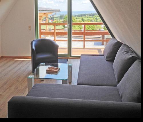 ein Wohnzimmer mit einem Sofa und einem Glastisch in der Unterkunft MiaVojo in Ilmenau