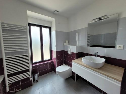 bagno con lavandino, servizi igienici e specchio di Maison familiale proche plages avec jacuzzi a Tréflez