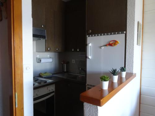 a kitchen with a refrigerator and a counter with plants at The white fox's family home - Veysonnaz in Veysonnaz