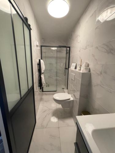 une salle de bain avec toilettes, douche et lavabo dans l'établissement Ambiance Seine, Appartement lumineux en bordure de Seine - Chouette, à Thomery