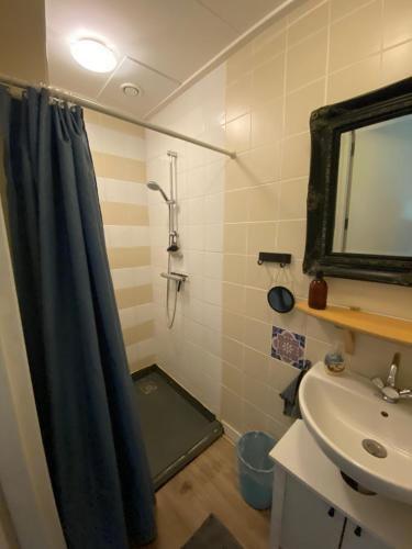 a bathroom with a shower curtain and a sink at Bed & Breakfast Ytsma State in Follega