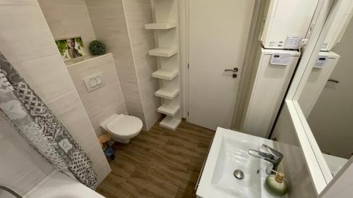 een kleine badkamer met een wastafel en een toilet bij Buda Garden Apartment in Boedapest