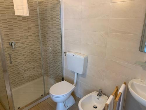 a bathroom with a toilet and a shower and a sink at La Viscontina in Somma Lombardo