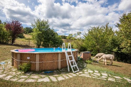 two sheep are grazing next to a hot tub at Glicine in Montieri
