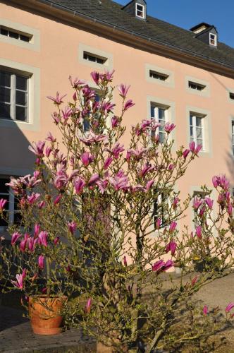 a bush with pink flowers in front of a building at Alte Schmiede in denkmalgeschützter Hofanlage in Messerich