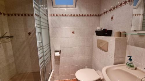 W łazience znajduje się prysznic, toaleta i umywalka. w obiekcie Haus Blach w mieście Kurort Oberwiesenthal
