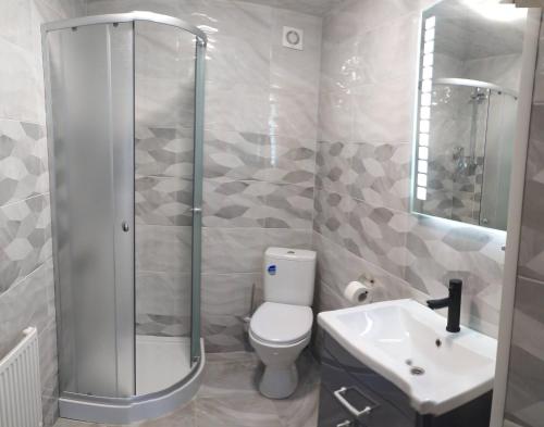 W łazience znajduje się prysznic, toaleta i umywalka. w obiekcie Карпатська Модринка w mieście Worochta