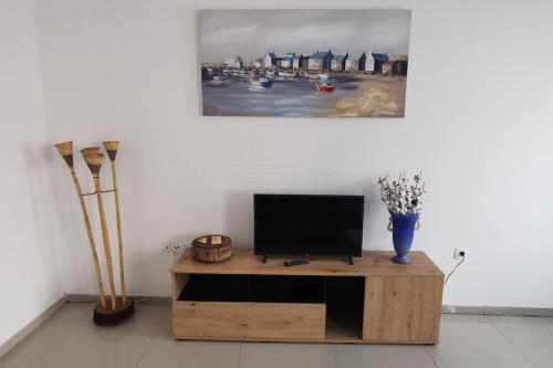 Apt Plateau في برايا: غرفة معيشة مع تلفزيون على طاولة خشبية