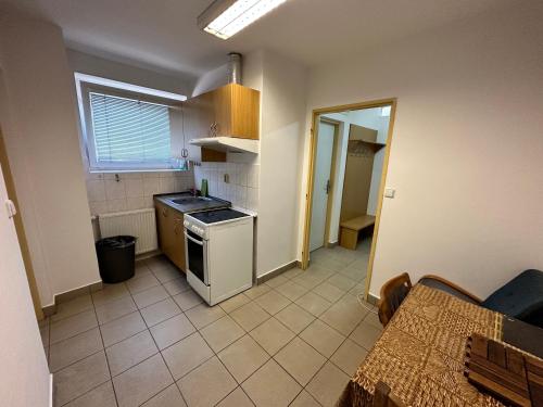 a small kitchen with a stove and a sink at Bydlení v Brumově s.r.o. in Brumow