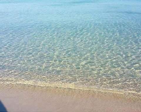 uma vista para a areia e a água na praia em Apart haut standing v mer em Sousse