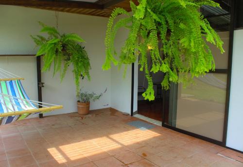 Gallery image of Casa Aquiares Lodge Posada Rural in Turrialba