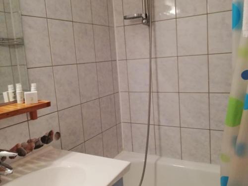 Studio avec Cabine aux Pieds des Pistes, Animaux Admis - FR-1-574-27