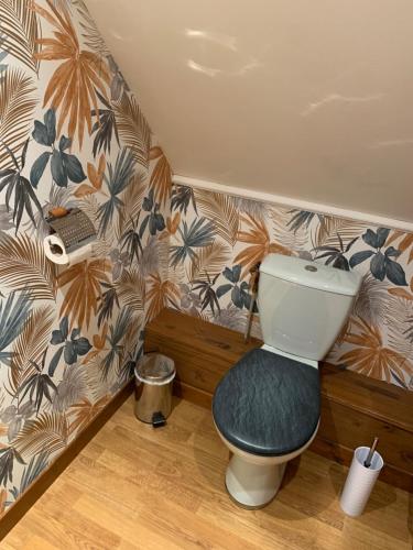 a bathroom with a toilet with a green seat at Gîte Bien-être in Yquebeuf
