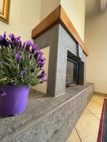 a flower pot with purple flowers on a brick fireplace at Ranch Simeto in Paterno