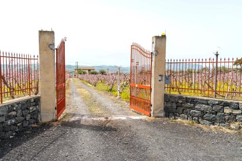 an entrance to a gate into a vineyard at Ranch Simeto in Paterno