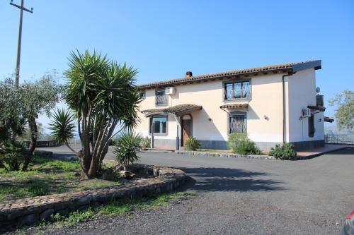 a house with a palm tree in front of a street at Ranch Simeto in Paterno