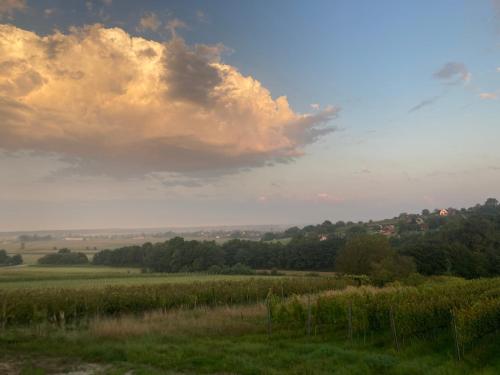 un campo de hierba con un cielo nublado en Prekmurski raj, en Dobrovnik