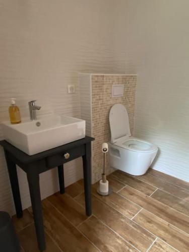 une salle de bain avec un lavabo et des toilettes dans l'établissement Maison cocooning proche plages, à Soustons