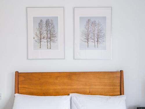 two framed photographs of trees on a white wall above a bed at Pass the Keys Peckham House with garden London in London