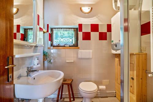 a bathroom with a sink and a toilet at Baita Valmesta in Fiera di Primiero