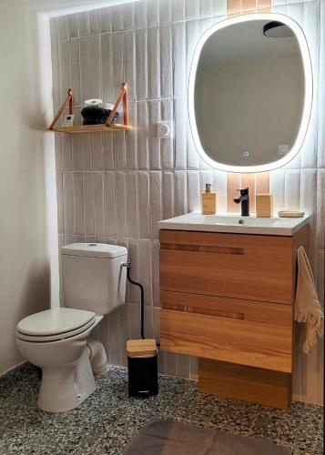 La salle de bains est pourvue de toilettes et d'un lavabo avec miroir. dans l'établissement Chambre d'hôte à 