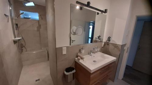 a bathroom with a sink and a shower and a mirror at Alt Monjoie in Roetgen