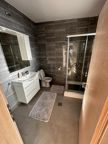 La salle de bains est pourvue de toilettes, d'un lavabo et d'une douche. dans l'établissement Kuća za odmor Ruža, à Nuštar