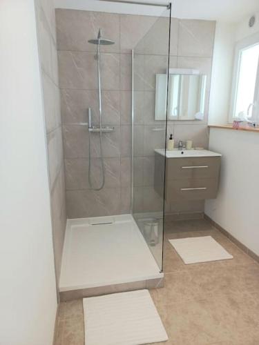 une salle de bain avec douche et lavabo dans l'établissement Appartement Les Géraniums, à Remiremont