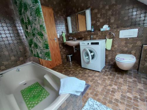 a bathroom with a washing machine and a sink at Feldbergsicht in Lenzkirch