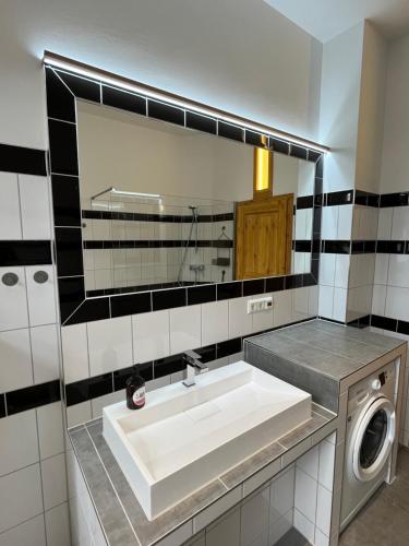a bathroom with a sink and a washing machine at Appartement Antikverliebt Aken in Aken