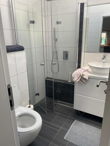 La salle de bains est pourvue d'une douche, de toilettes et d'un lavabo. dans l'établissement HomeSweetHome#Bingen, à Bingen am Rhein