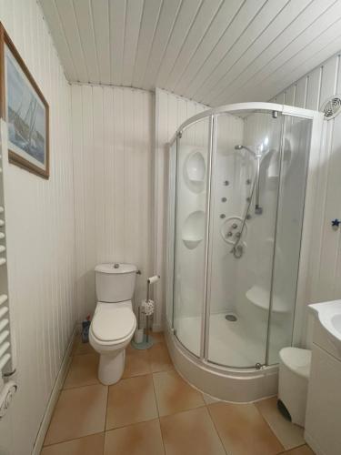 une salle de bain avec douche et toilettes dans l'établissement Les Gites de La Vieille Roue - Gite 2, à Reignac
