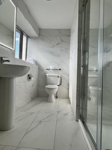a bathroom with a toilet and a sink and a shower at The Western Hotel in Galway