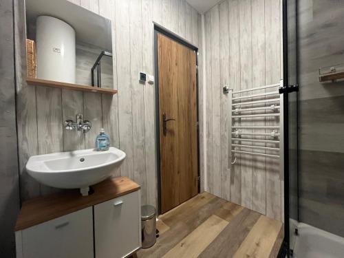 uma casa de banho com um lavatório e um chuveiro em Horská chata Violeta em Jáchymov