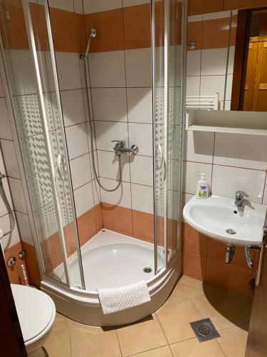 y baño con ducha y lavamanos. en Pansion Vlašić Ski, en Šišava
