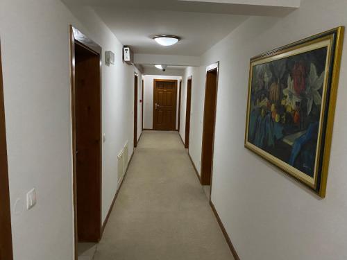 a long hallway with a painting on the wall and a picture at Pansion Vlašić Ski in Šišava