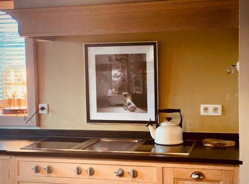 um balcão de cozinha com um lavatório e uma fotografia de um cão em La Prairie em Herve