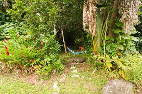 a garden with a blue hose in the grass at La Casa de Vida Natural in Rio Grande