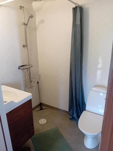 a bathroom with a toilet and a shower curtain at Amazing home in Gislaved with WiFi and 2 bedroom in Gislaved