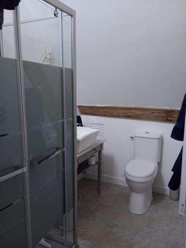 a bathroom with a toilet and a sink at Le Presbytere in Beauficel