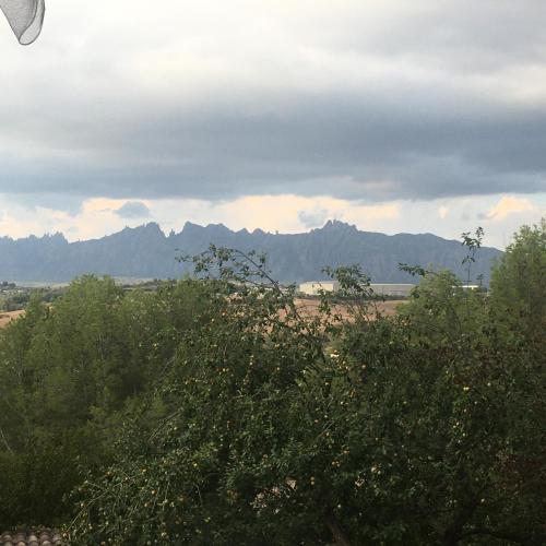 vista su un campo alberato e montano di Vi l'Art Wine Lodge - Only Adults a Piera