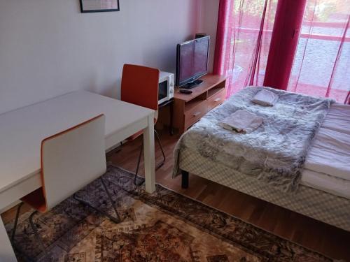 a bedroom with a desk and a bed and a tv at Studio Pohjola in Rovaniemi