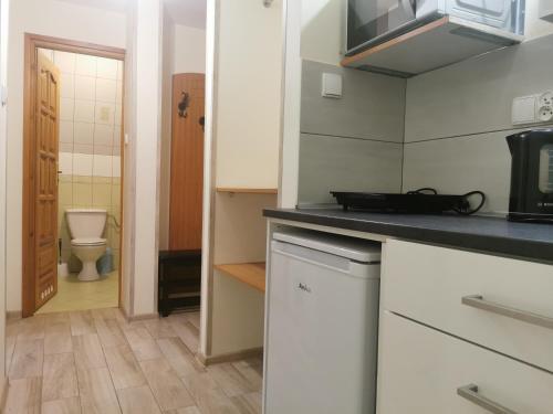 a kitchen with a sink and a toilet in a room at Pokoje i Apartament U Ireny in Poronin