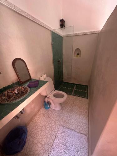 マラケシュにあるリヤド ナヤのバスルーム(ピンクのトイレ、シンク付)