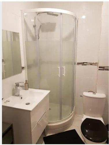 une salle de bain avec une douche, des toilettes et un lavabo dans l'établissement STUDIOS NEUFS ET AGRÉABLES, à Bonneuil-sur-Marne