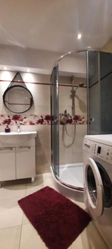 a bathroom with a shower and a washing machine at Apartament Tarnogórski in Tarnowskie Góry