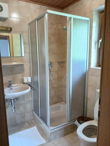 La salle de bains est pourvue d'une douche, de toilettes et d'un lavabo. dans l'établissement Haus Mesner, à Innervillgraten