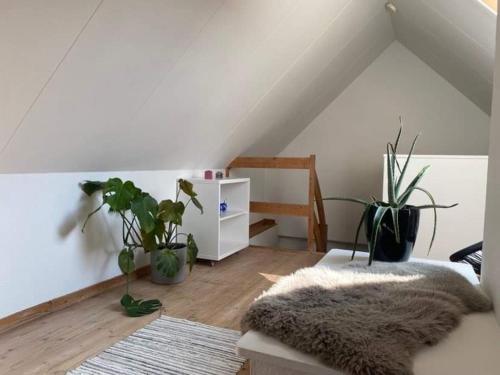 a room with potted plants and a chair in a attic at Christina in Aalborg