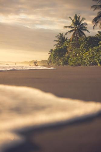 a beach with palm trees and the ocean at Casa Grande del Mar - by Pura Villas in Punta Mala